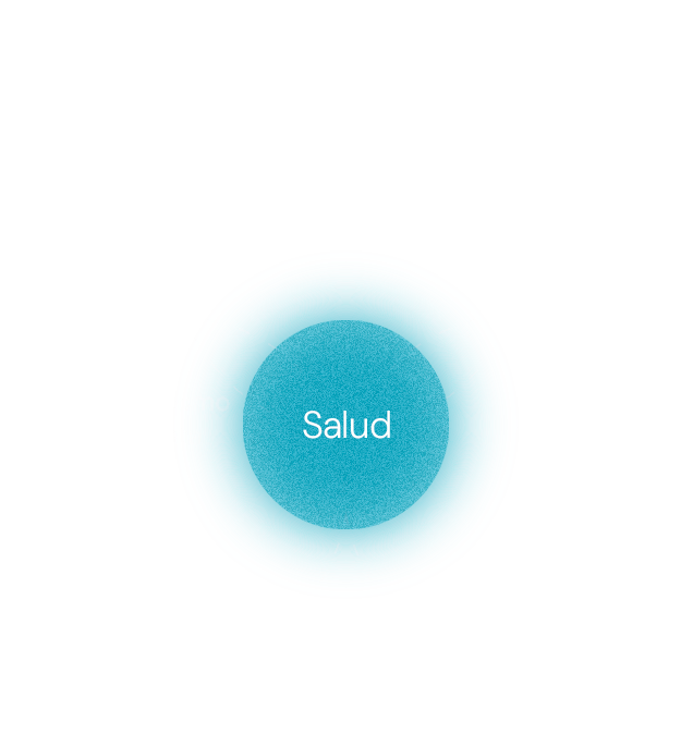 grafico de servicios